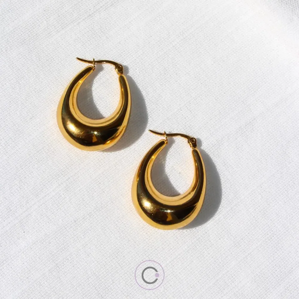 brincos elegantes aço