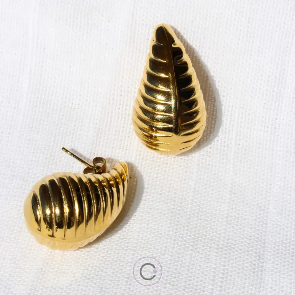 brincos argolas elegantes aço