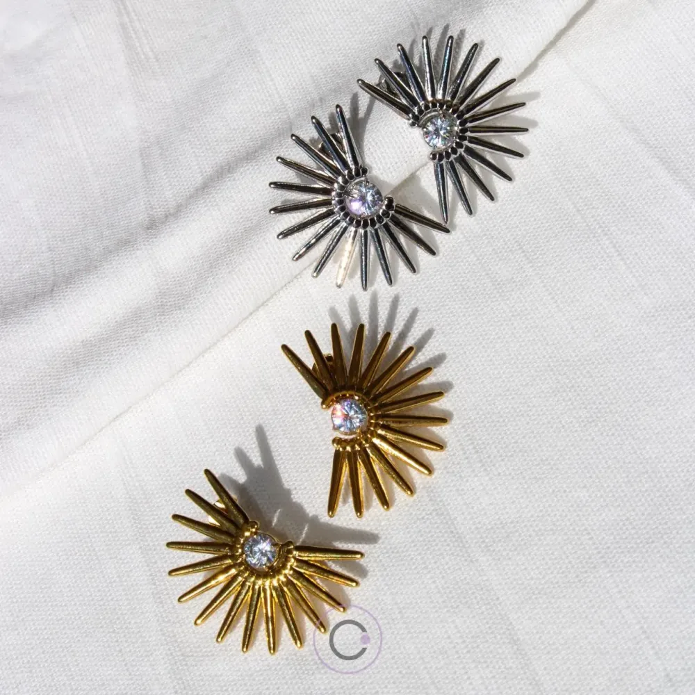 brincos elegantes aço