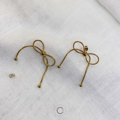 brincos argolas elegantes aço