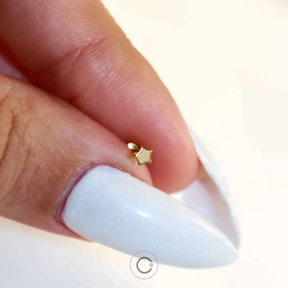 piercings nariz