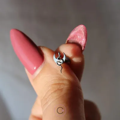 piercings orelha helix conch tragus flat