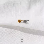 Piercing Nariz