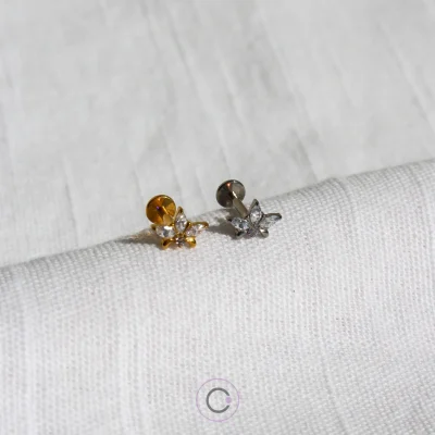 Piercing Princesa - Image 1