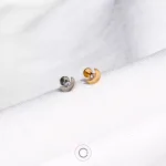 piercings helix conch tragus