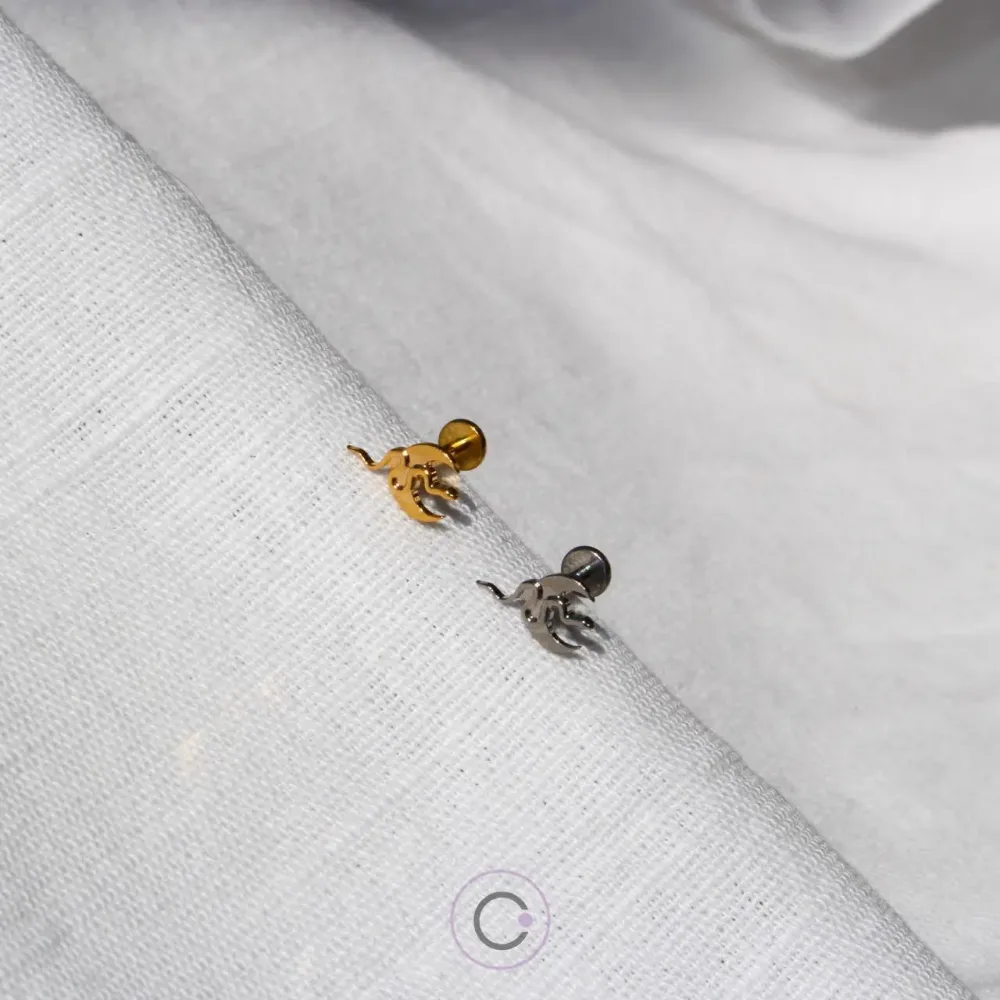 piercings-orelha-helix-conch- piercings orelha helix conch tragus flat