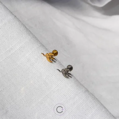 piercings orelha helix conch tragus flat