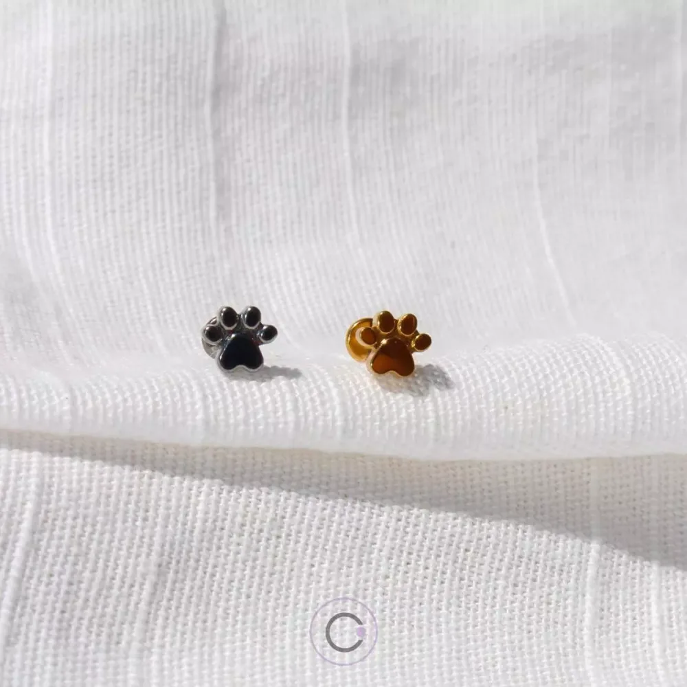 piercings-orelha-patinha piercings orelha piercings conch tragus helix