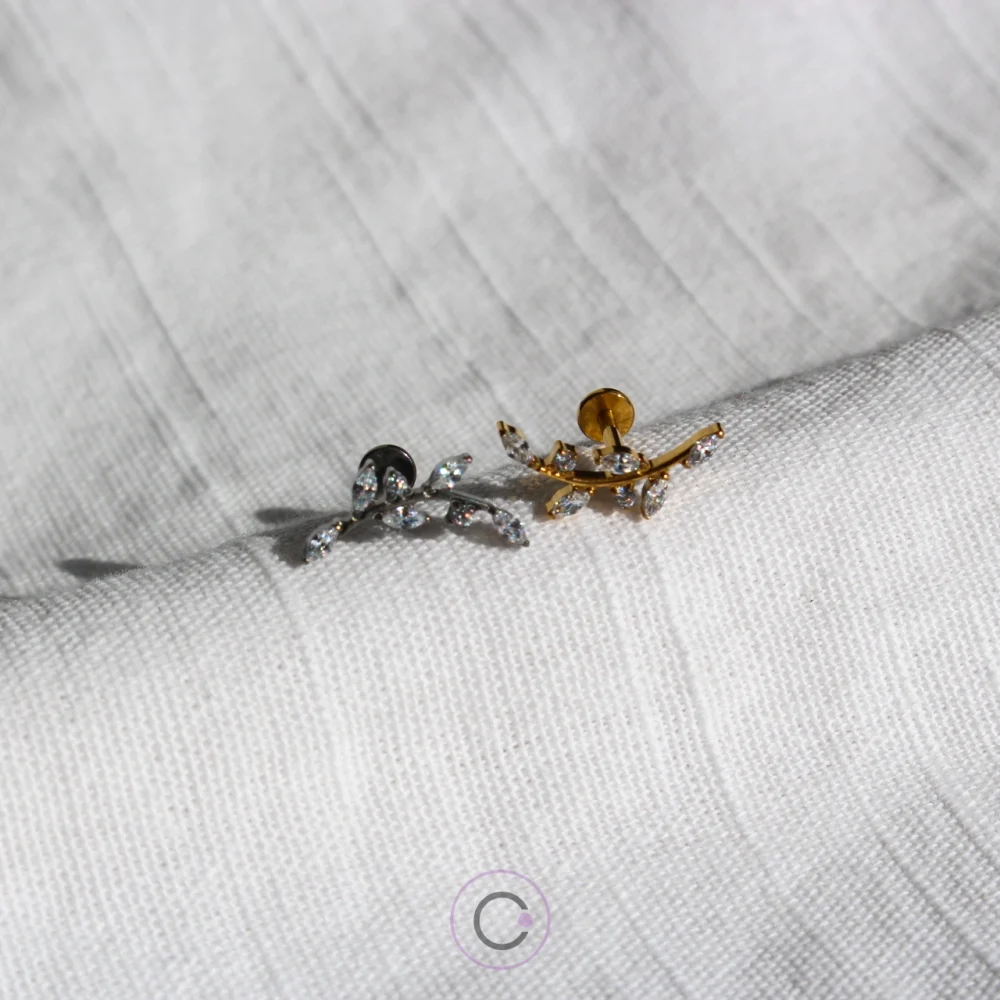 piercings-titanio-orelha