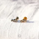 piercings helix conch tragus